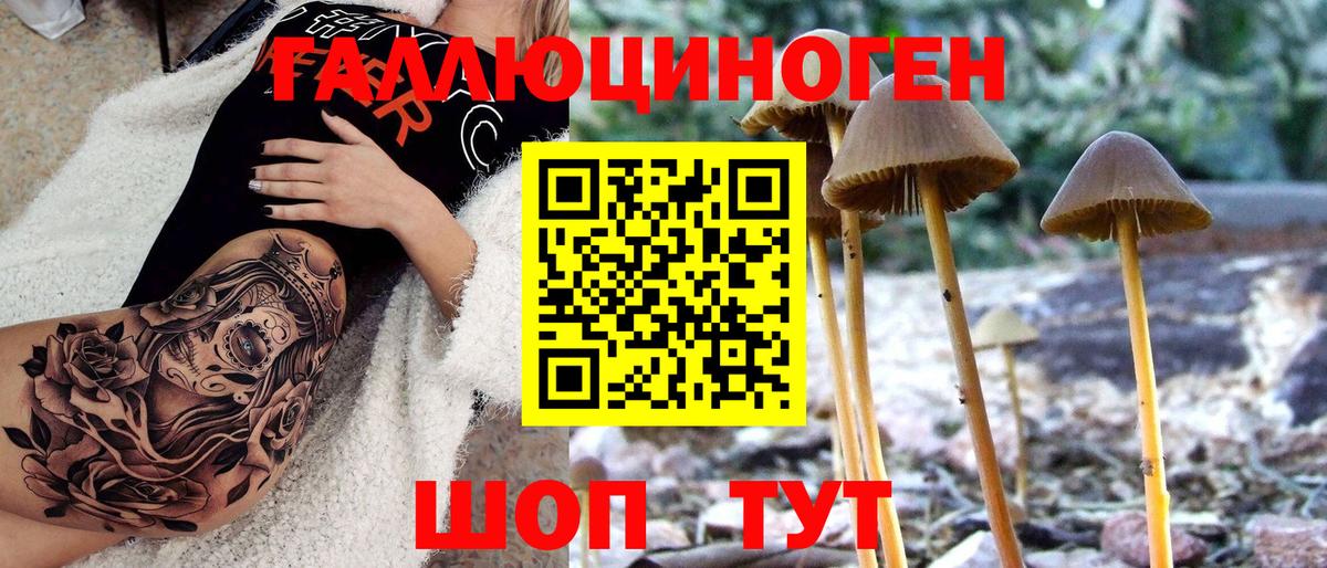 Псилоцибиновые грибы GOLDEN TEACHER Сланцы